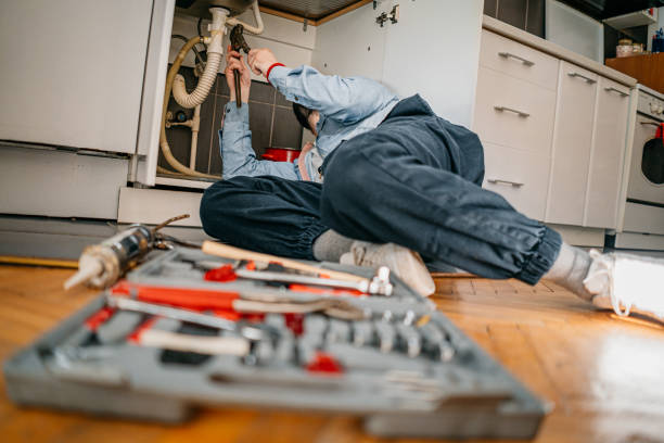 Best Local Plumber Services  in Theodore, AL