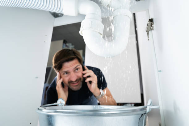 Best Plumbing Repair Near Me  in Theodore, AL