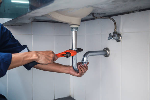 Best Plumbing Services Near Me  in Theodore, AL